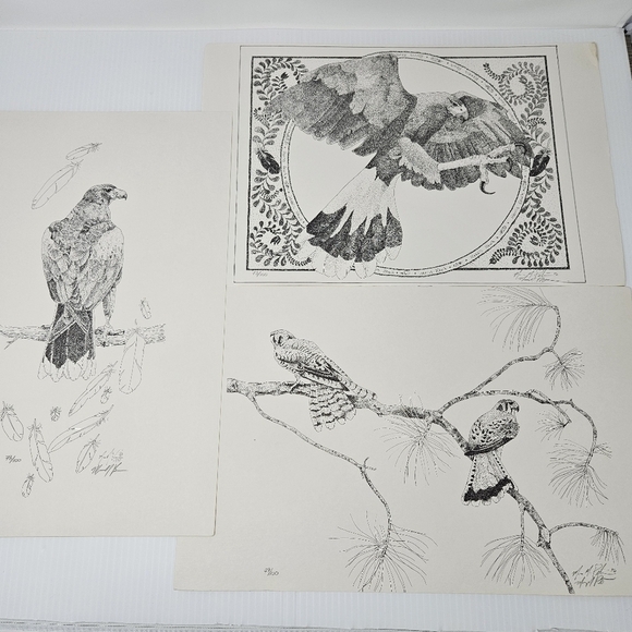 Harris Hawk Bird Art Prints Numbered & Artist Signed Wildlife Set Of 3 - Picture 1 of 16